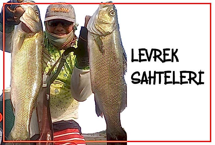 Levrek Sahteleri
