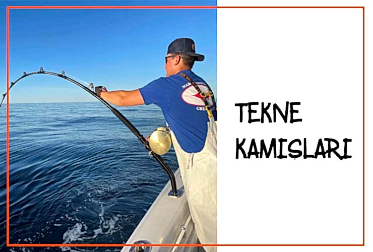 Tekne Kamışları
