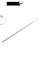 NANIWAOSAKASHI MULTIVERSE 2.74CM 7-42GR ÜST YEDEK PARÇA - NANIWAOSAKASHI