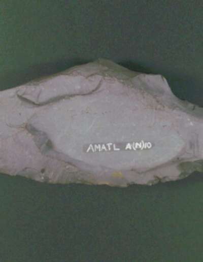 ARMITT MUSEUM AND LIBRARY | NEOLITHIC STONE AXES