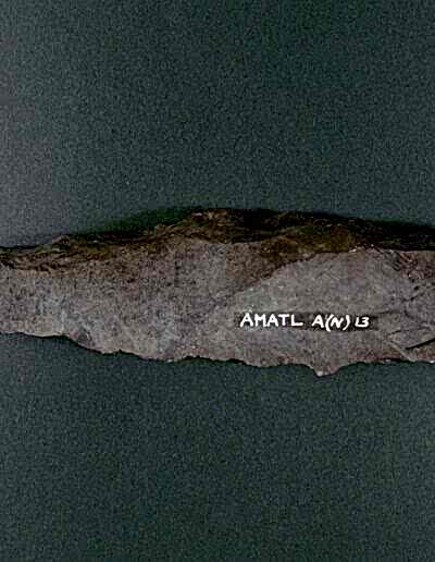 ARMITT MUSEUM AND LIBRARY | NEOLITHIC STONE AXES