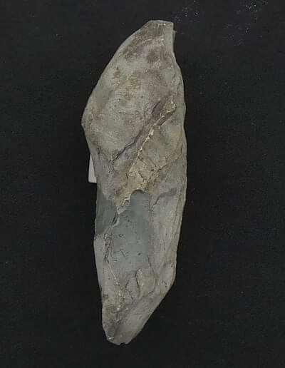 ARMITT MUSEUM AND LIBRARY | NEOLITHIC STONE AXES