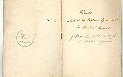OBJECT OF THE MONTH DECEMBER 2024