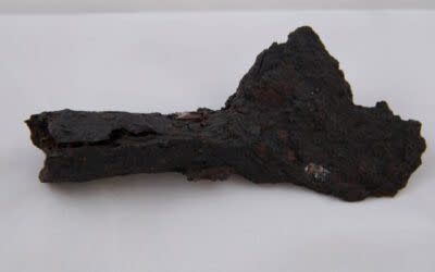 OBJECT OF THE MONTH NOVEMBER 2025